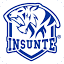 insunte.edu.mx