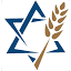 jewishvoice.org