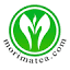 morimatea.com
