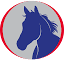 orchardequestrian.com