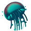 projet-meduses.com