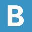 thebluebirdgrp.com