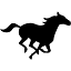 veriturf.fr