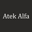 ateksensor.com