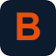 brydansolutions.com