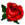 cvetq.info