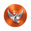 digitalbharats.com