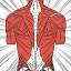dorntherapie.blog