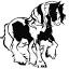 drumhorseassociation.com