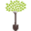 friendsoftheurbanforest.org