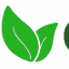 greenfriday.org
