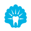 incidis.com.tr