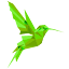 jumpbird.io