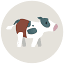 koogko.dk