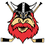 nybrovikings.com