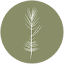 pinesmoke.org
