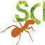 reimaginescience.org