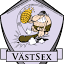 vast***.nu