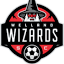 wellandsoccerclub.com