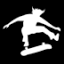 backsideskatemag.com