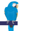 blueparrott.com