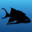 davesfish.com