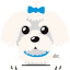 maltezeri.com