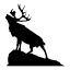 newfoundlandbronze.ca