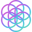 psydb.net