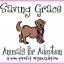 savinggracenc.org