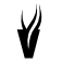 eventrent.co.nz