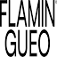 flamingueo.com