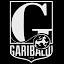 garibaldi.tv