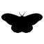 hevydevy.com