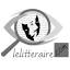 lelitteraire.com