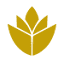 nahalharedi.org