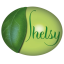 shelsy.com.ua