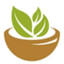 thehealthyremedy.com