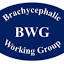 ukbwg.org.uk