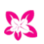 yinghua2.com