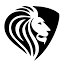 academyonline.fi