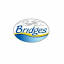 bridgesofkentucky.com