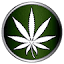cannabits.net