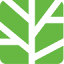 concept-vegetal.com