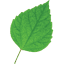 coopergreenteam.com