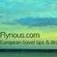 flynous.com