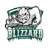 greenbayblizzard.com