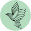 lacybird.ae