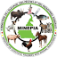 minepia.cm