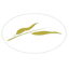 mywillowdayspa.com